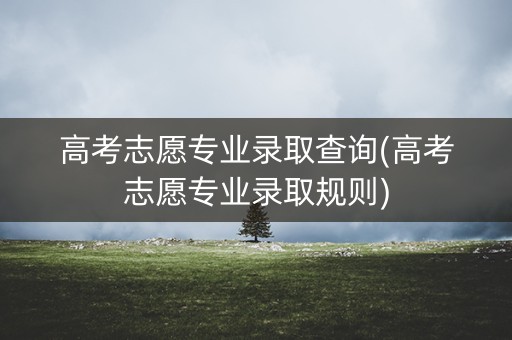 高考志愿专业录取查询(高考志愿专业录取规则)