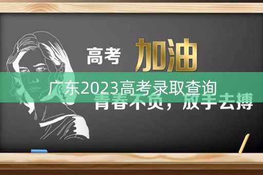 广东2023高考录取查询