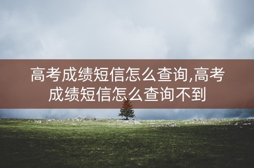高考成绩短信怎么查询,高考成绩短信怎么查询不到