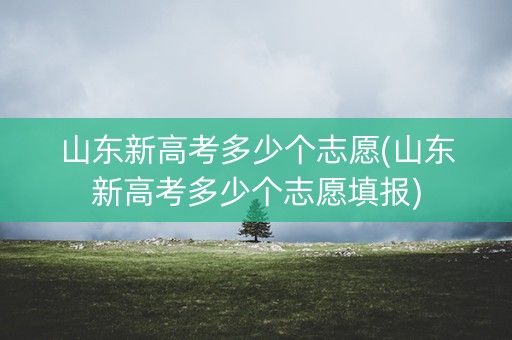 山东新高考多少个志愿(山东新高考多少个志愿填报)