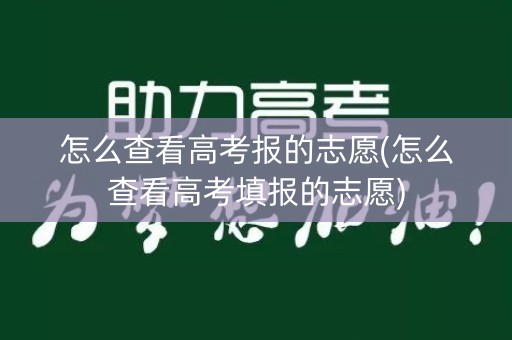怎么查看高考报的志愿(怎么查看高考填报的志愿)