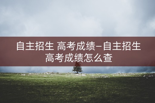 自主招生 高考成绩—自主招生 高考成绩怎么查