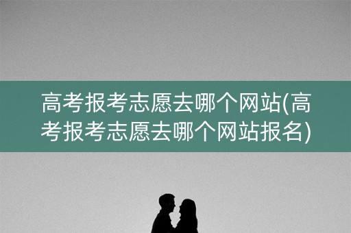 高考报考志愿去哪个网站(高考报考志愿去哪个网站报名) 高考报考志愿去哪个网站(高考报考志愿去哪个网站报名)