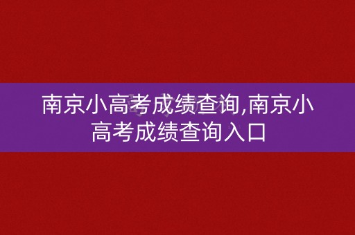 南京小高考成绩查询,南京小高考成绩查询入口