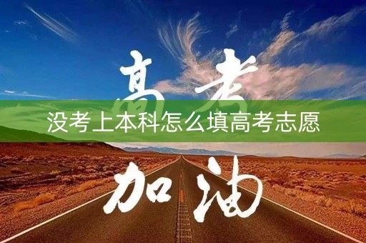 没考上本科怎么填高考志愿