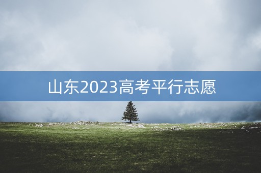 山东2023高考平行志愿