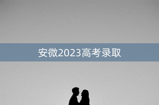 安微2023高考录取