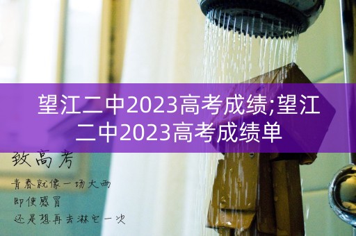 望江二中2023高考成绩;望江二中2023高考成绩单