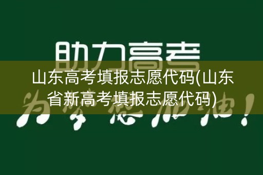 山东高考填报志愿代码(山东省新高考填报志愿代码)
