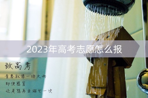 2023年高考志愿怎么报 2023年高考志愿怎么报