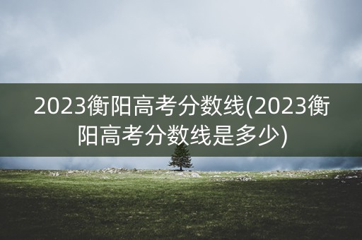 2023衡阳高考分数线(2023衡阳高考分数线是多少)