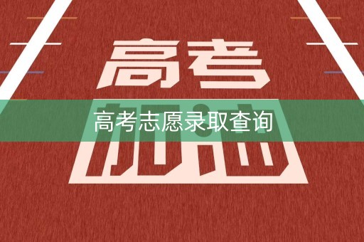 高考志愿录取查询 高考志愿录取查询