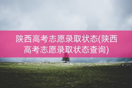 陕西高考志愿录取状态(陕西高考志愿录取状态查询)