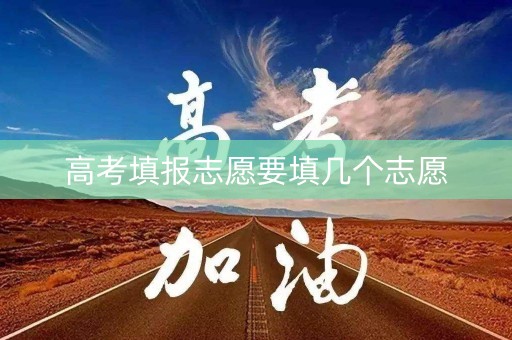高考填报志愿要填几个志愿