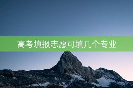 高考填报志愿可填几个专业