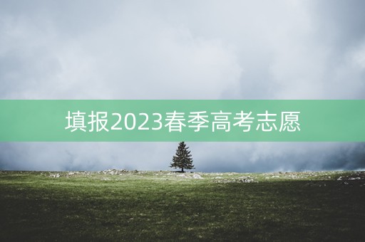 填报2023春季高考志愿
