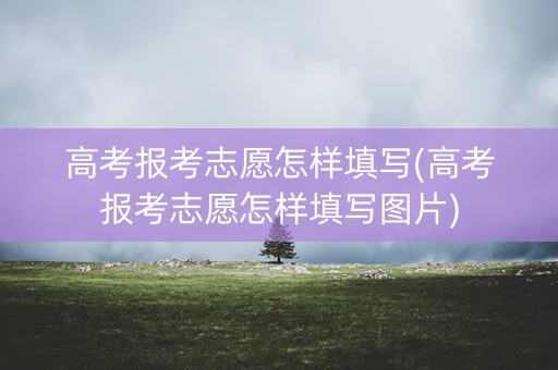 高考报考志愿怎样填写(高考报考志愿怎样填写图片) 高考报考志愿怎样填写(高考报考志愿怎样填写图片)