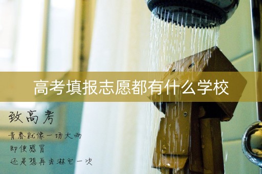 高考填报志愿都有什么学校