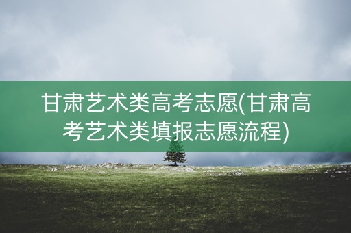 甘肃艺术类高考志愿(甘肃高考艺术类填报志愿流程)