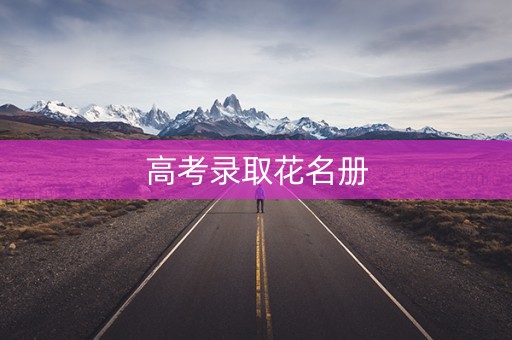 高考录取花名册