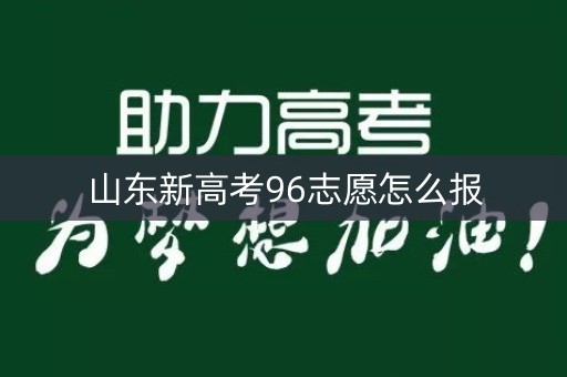 山东新高考96志愿怎么报