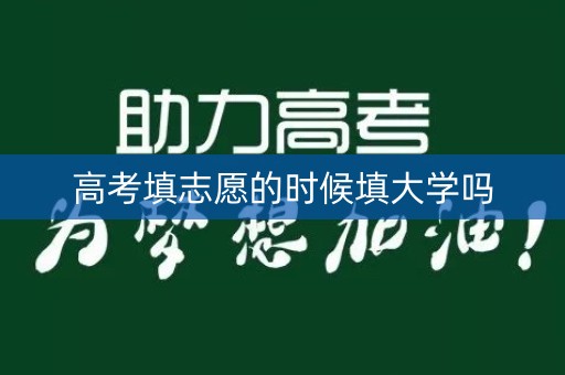 高考填志愿的时候填大学吗