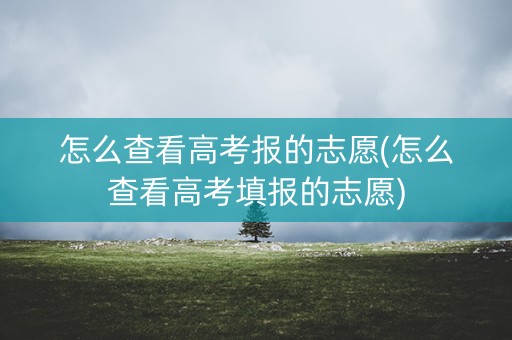 怎么查看高考报的志愿(怎么查看高考填报的志愿)