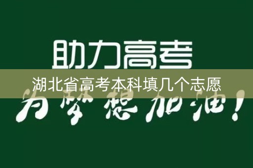 湖北省高考本科填几个志愿 湖北省高考本科填几个志愿