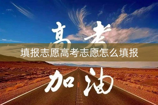 填报志愿高考志愿怎么填报