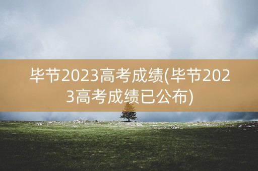 毕节2023高考成绩(毕节2023高考成绩已公布)