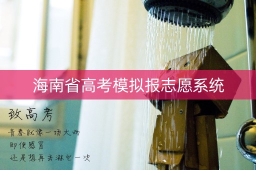 海南省高考模拟报志愿系统
