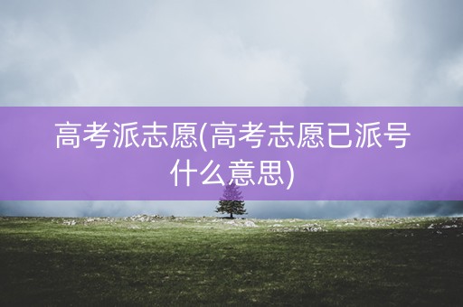 高考派志愿(高考志愿已派号什么意思)