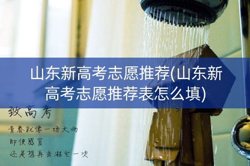 山东新高考志愿推荐(山东新高考志愿推荐表怎么填)