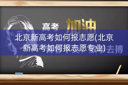 北京新高考如何报志愿(北京新高考如何报志愿专业)