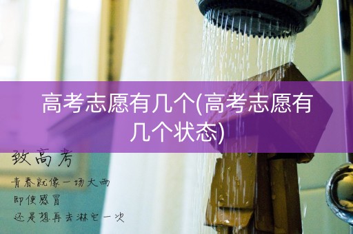 高考志愿有几个(高考志愿有几个状态)
