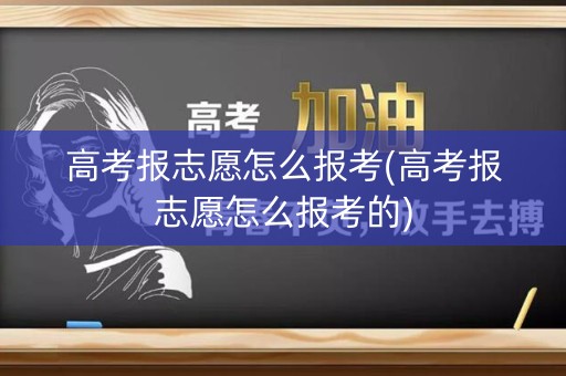高考报志愿怎么报考(高考报志愿怎么报考的)