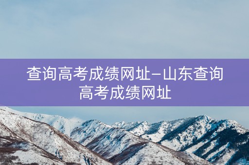 查询高考成绩网址—山东查询高考成绩网址