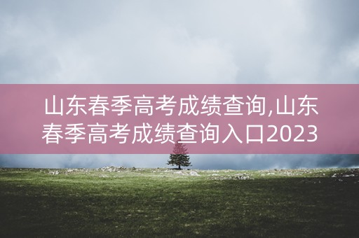 山东春季高考成绩查询,山东春季高考成绩查询入口2023