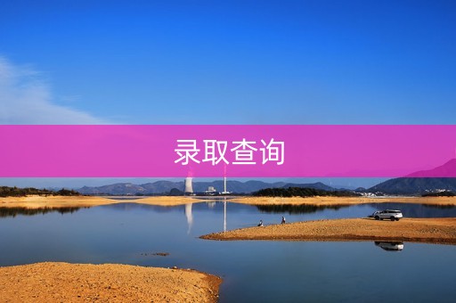 录取查询
