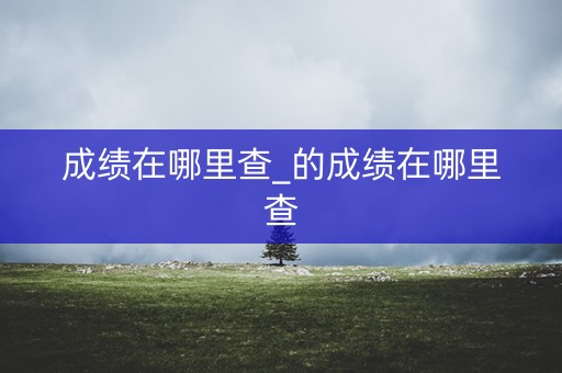 成绩在哪里查_的成绩在哪里查