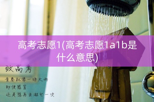 高考志愿1(高考志愿1a1b是什么意思)