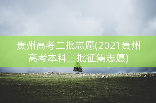 贵州高考二批志愿(2021贵州高考本科二批征集志愿)