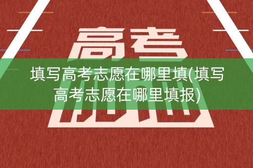 填写高考志愿在哪里填(填写高考志愿在哪里填报)