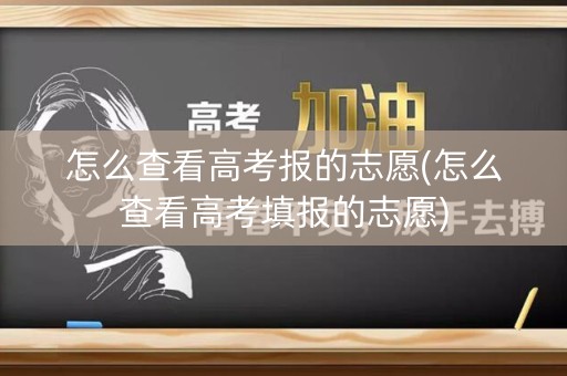 怎么查看高考报的志愿(怎么查看高考填报的志愿)