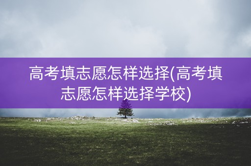 高考填志愿怎样选择(高考填志愿怎样选择学校)