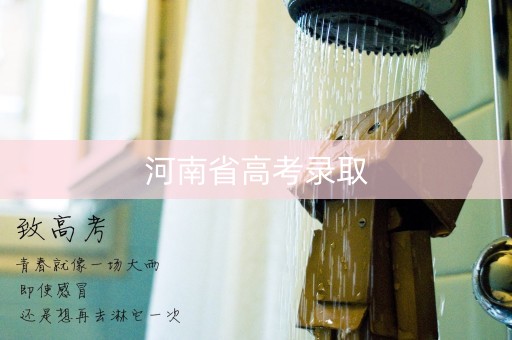 河南省高考录取