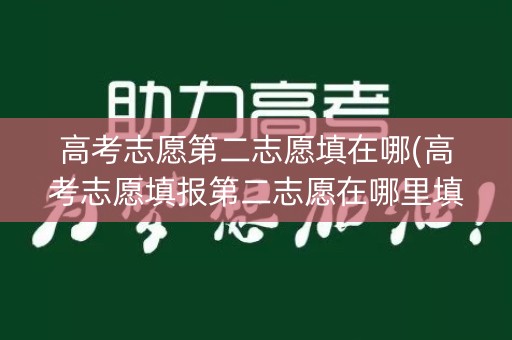 高考志愿第二志愿填在哪(高考志愿填报第二志愿在哪里填)