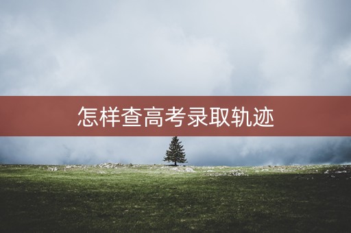详细阅读:怎样查高考录取轨迹 怎样查高考录取轨迹