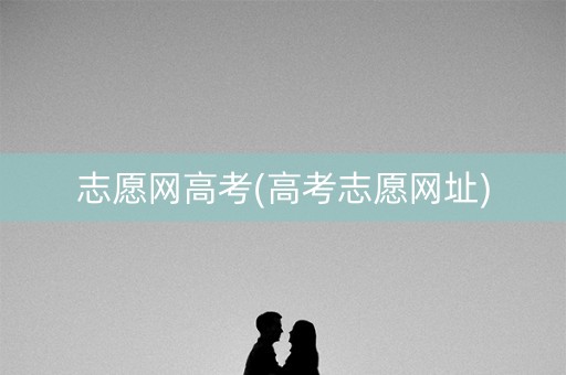 志愿网高考(高考志愿网址)