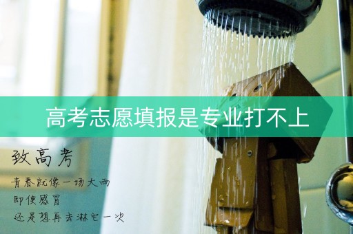高考志愿填报是专业打不上